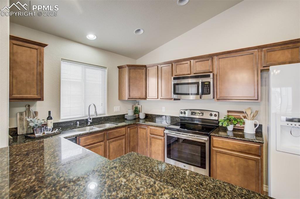 12419 Salmon Point Colorado Springs, CO 80921 - Photo 8 of 40