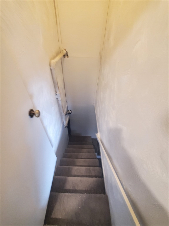 18 Denny Street, Unit 18 Boston, MA 02125 - Photo 18 of 19