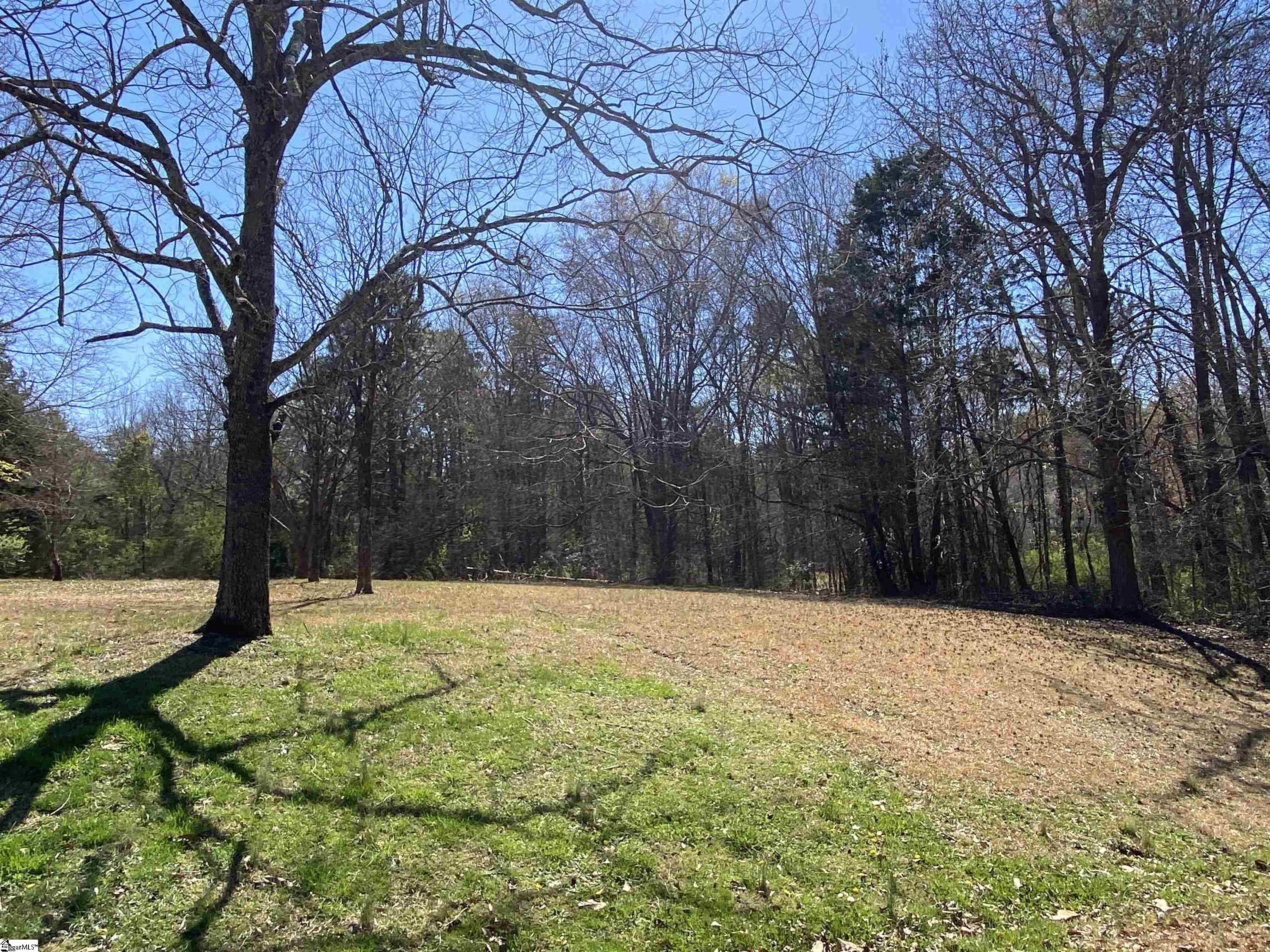0 Riveroak Drive Inman, SC 29349 - Photo 11 of 15 Gallery Image 11