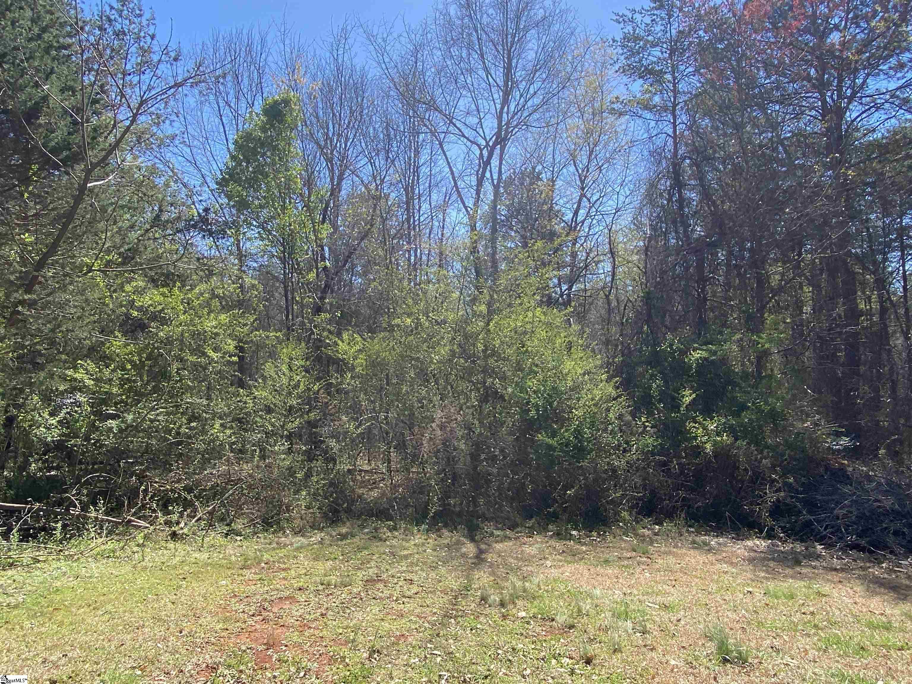 0 Riveroak Drive Inman, SC 29349 - Photo 5 of 15 Gallery Image 5