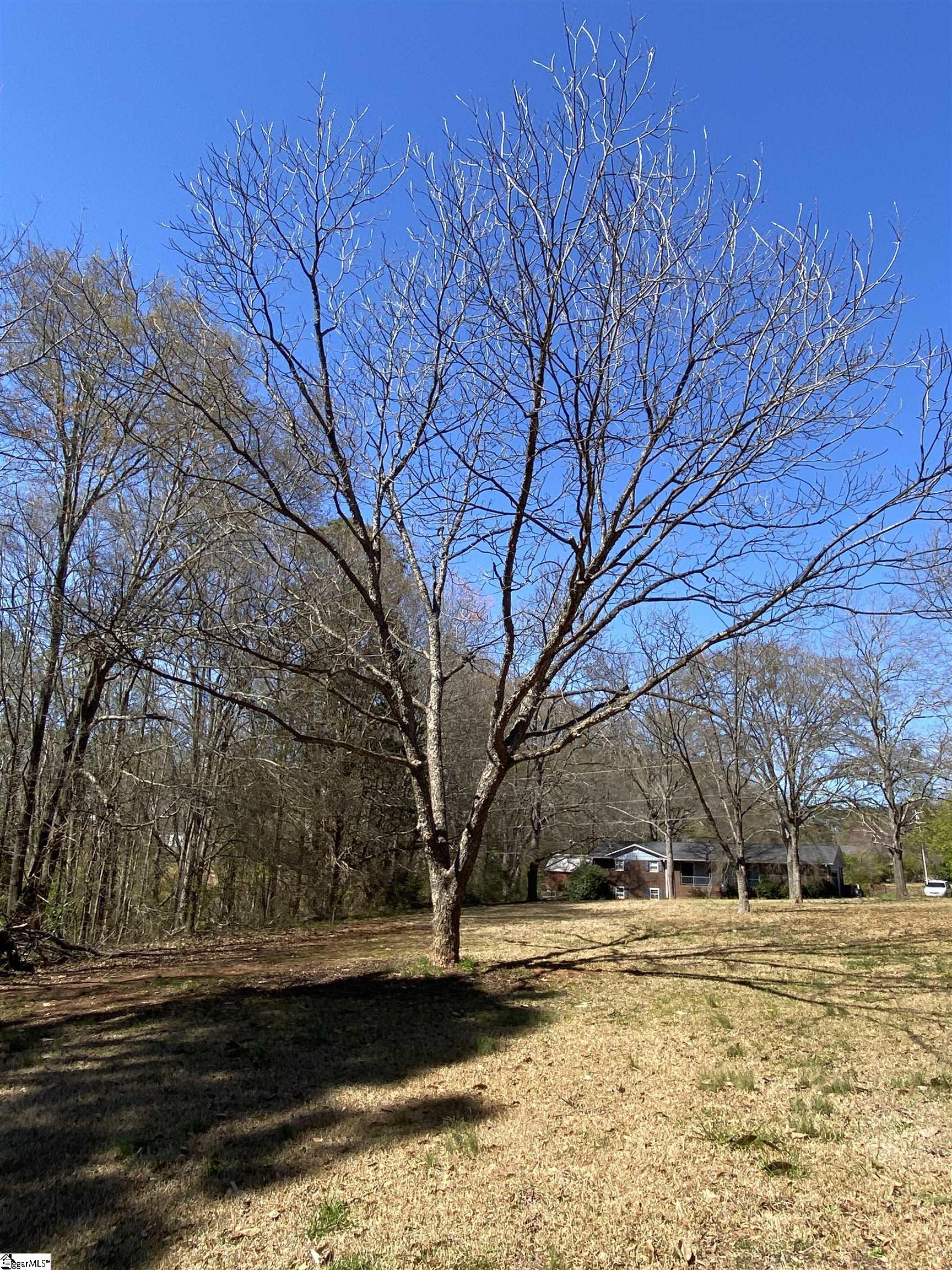 0 Riveroak Drive Inman, SC 29349 - Photo 8 of 15 Gallery Image 8