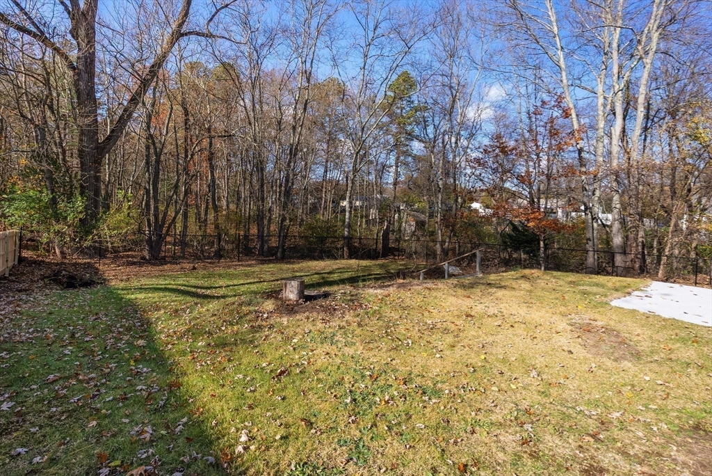 186 Bolton Street Springfield, MA 01119 - Photo 3 of 34 a view of a yard with trees