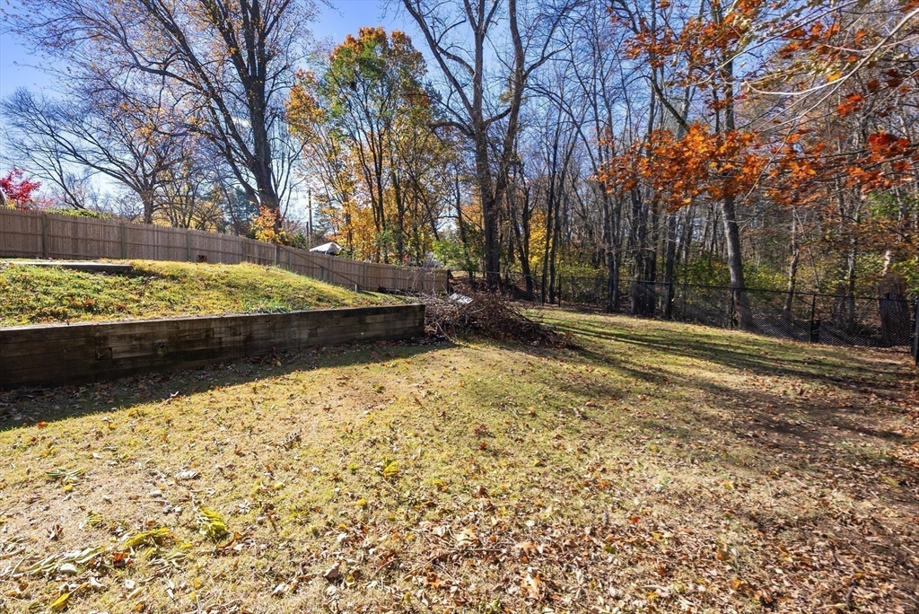186 Bolton Street Springfield, MA 01119 - Photo 5 of 34 a view of a yard with trees