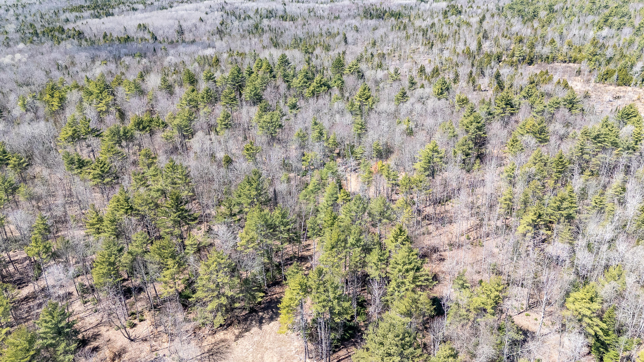 0 Bearce Road Sangerville, ME 04479 - Photo 12 of 50 DJI_20260417124857_0086_D
