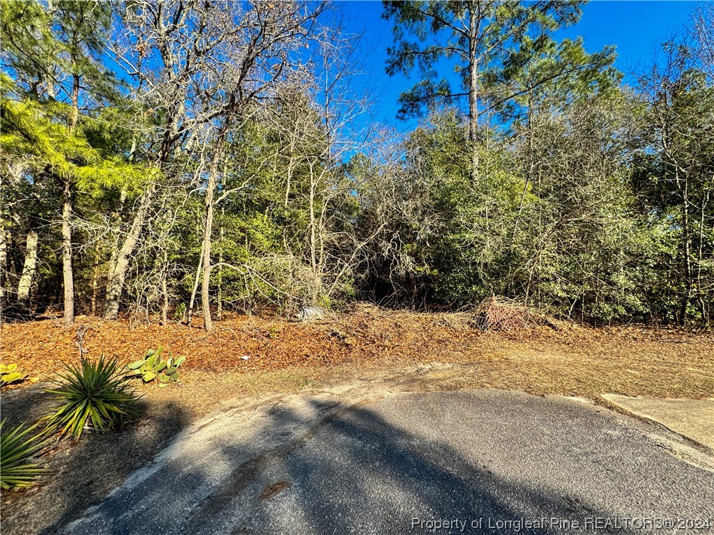 Wuycik Road Fayetteville, NC 28306 - Photo 1 of 7 Gallery Image 1