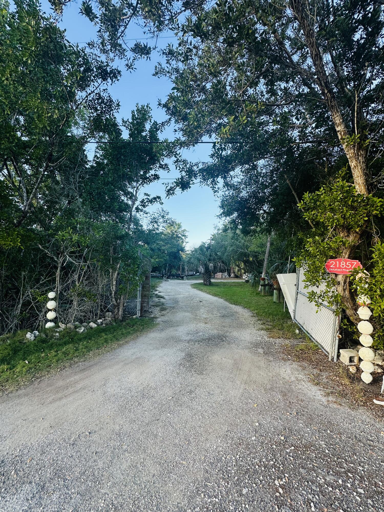 21857 Disturbed Pine Road Cudjoe, FL 33042 - Photo 21 of 31 a view of a backyard with plants and large trees