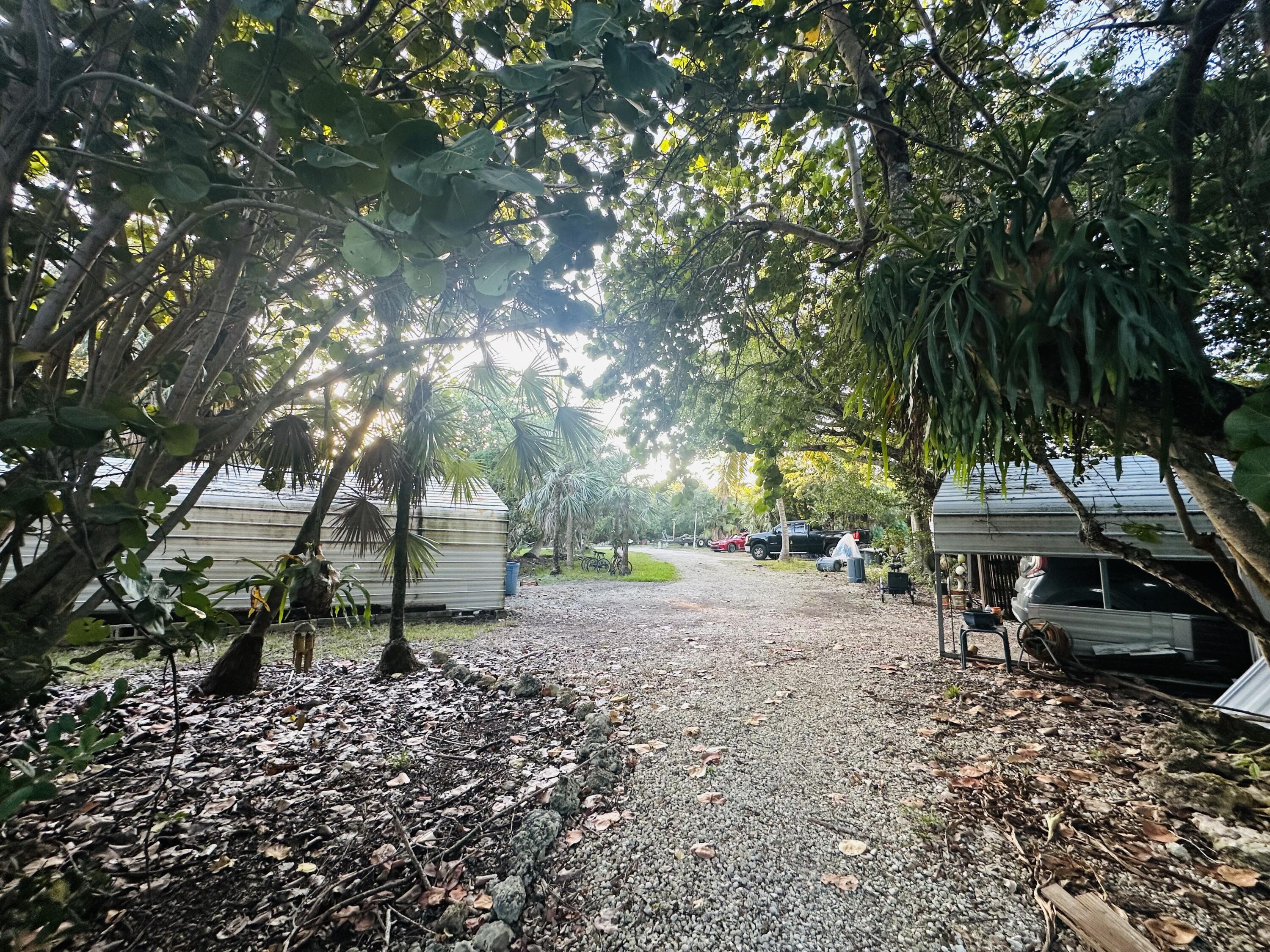 21857 Disturbed Pine Road Cudjoe, FL 33042 - Photo 22 of 31 a view of a sitting area with large trees