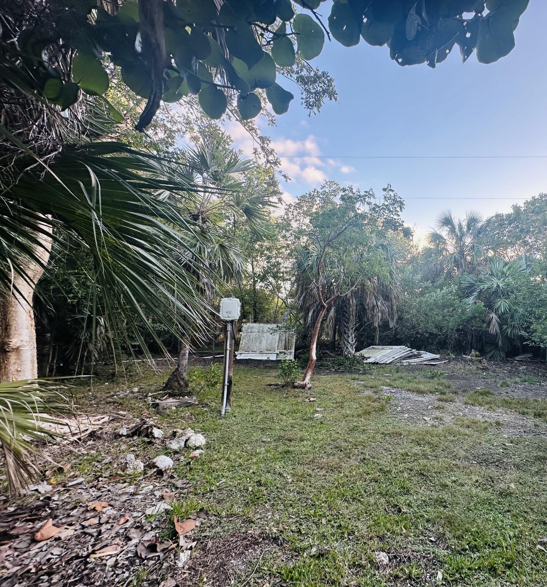 21857 Disturbed Pine Road Cudjoe, FL 33042 - Photo 23 of 31 a backyard of a house with lots of green space