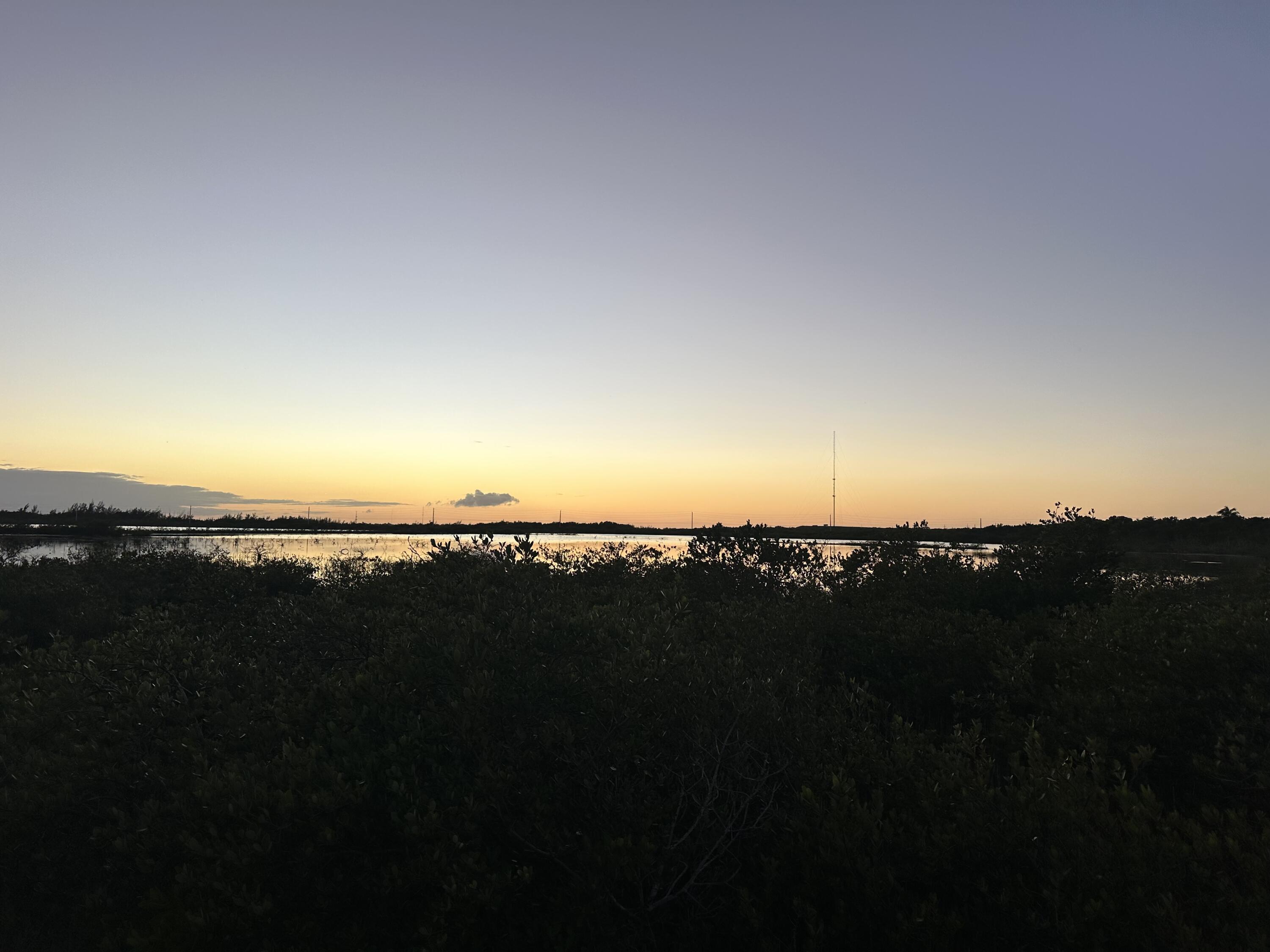 21857 Disturbed Pine Road Cudjoe, FL 33042 - Photo 27 of 31