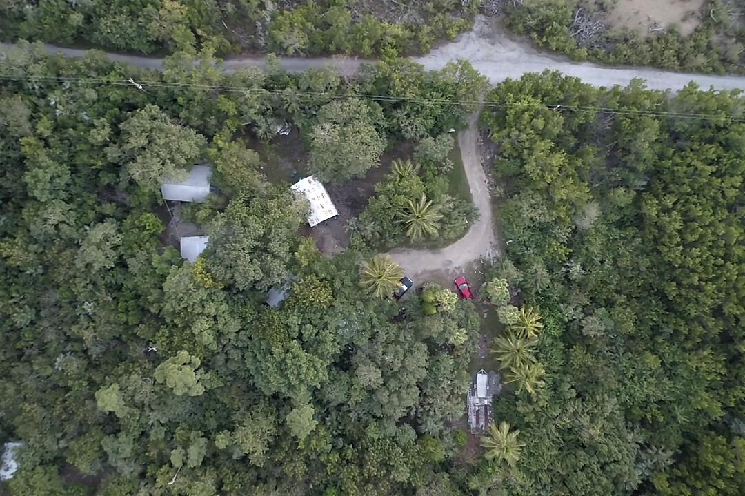 21857 Disturbed Pine Road Cudjoe, FL 33042 - Photo 29 of 31 a view of a forest with a fountain