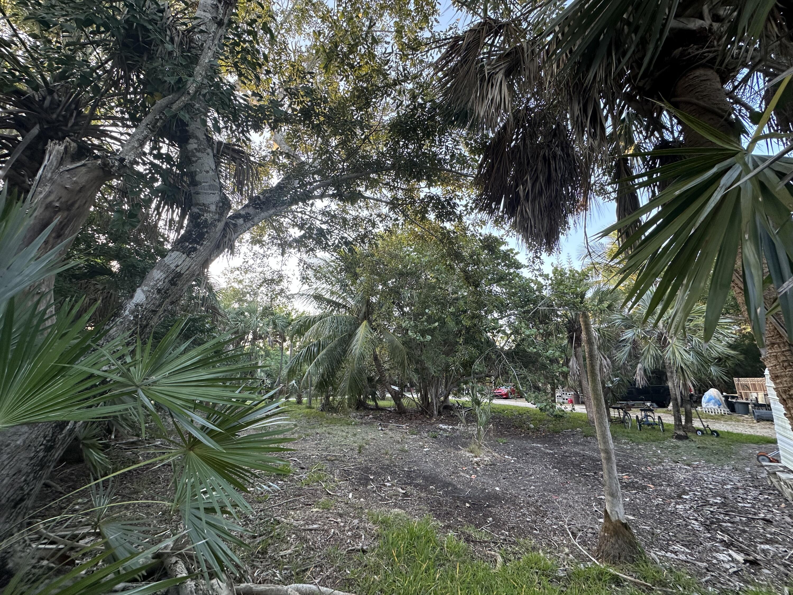 21857 Disturbed Pine Road Cudjoe, FL 33042 - Photo 10 of 30 Yard