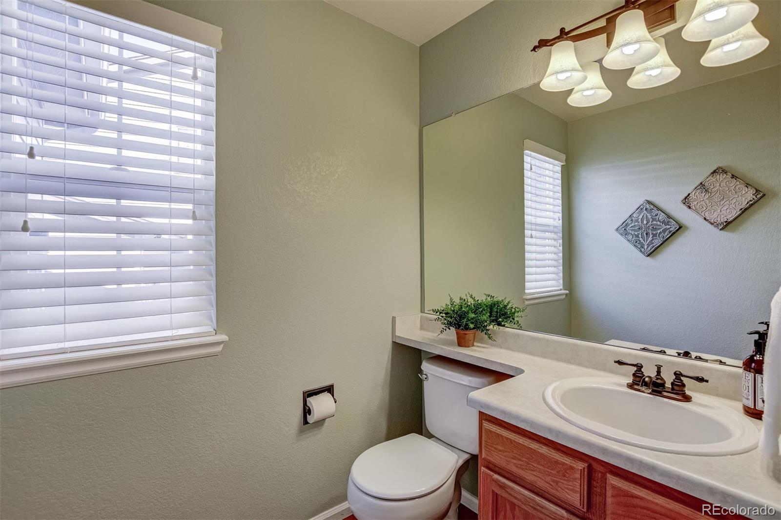 1051 Riddlewood Road Highlands Ranch, CO 80129 - Photo 17 of 37