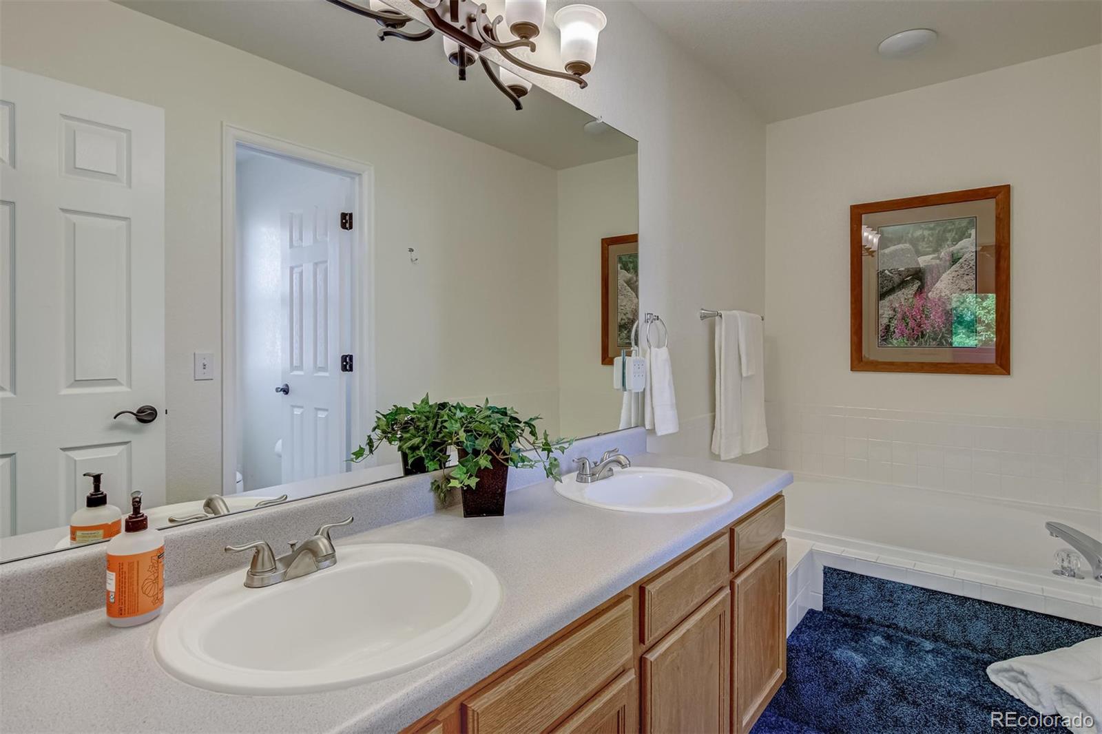 1051 Riddlewood Road Highlands Ranch, CO 80129 - Photo 22 of 37