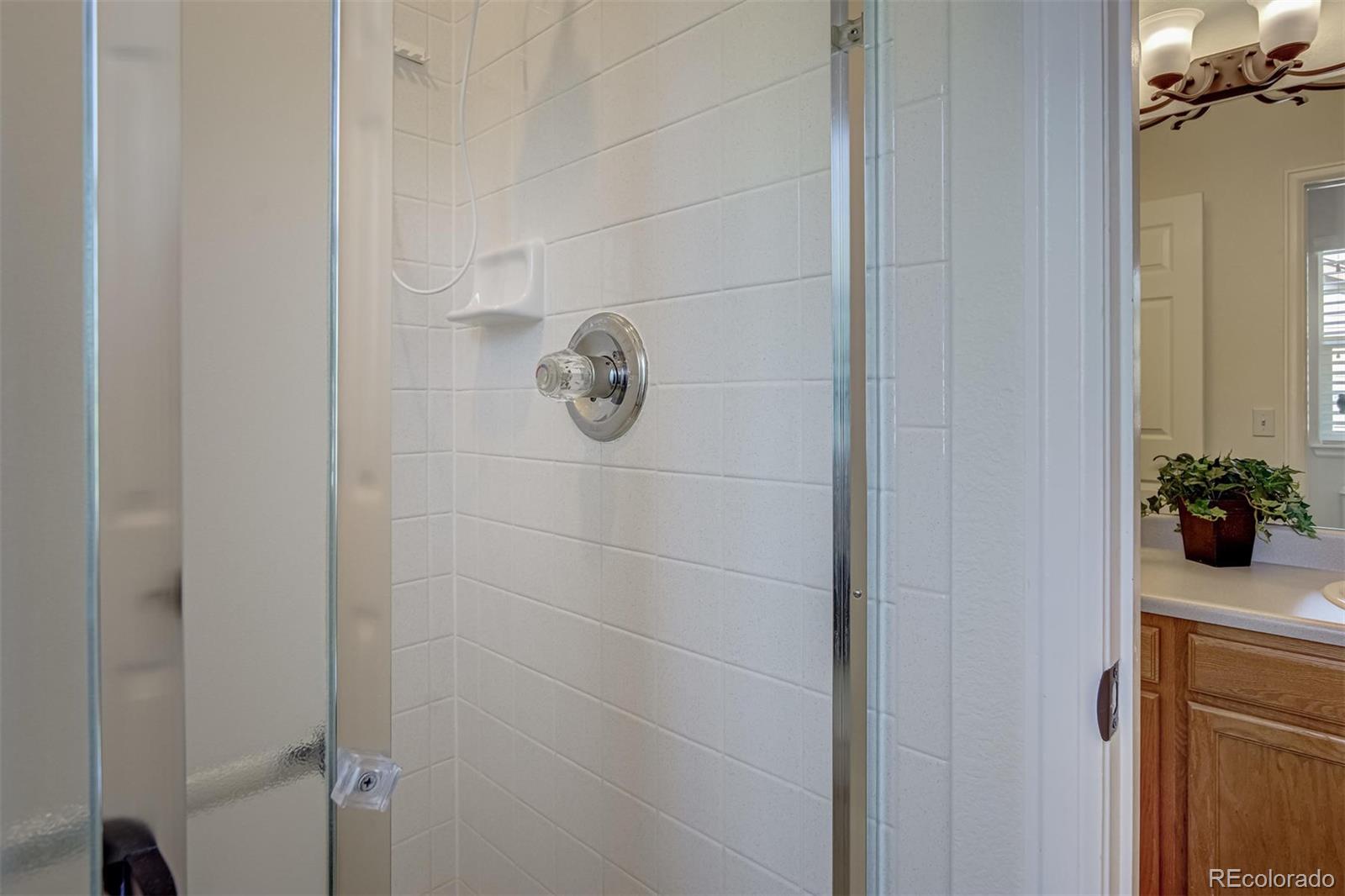 1051 Riddlewood Road Highlands Ranch, CO 80129 - Photo 23 of 37