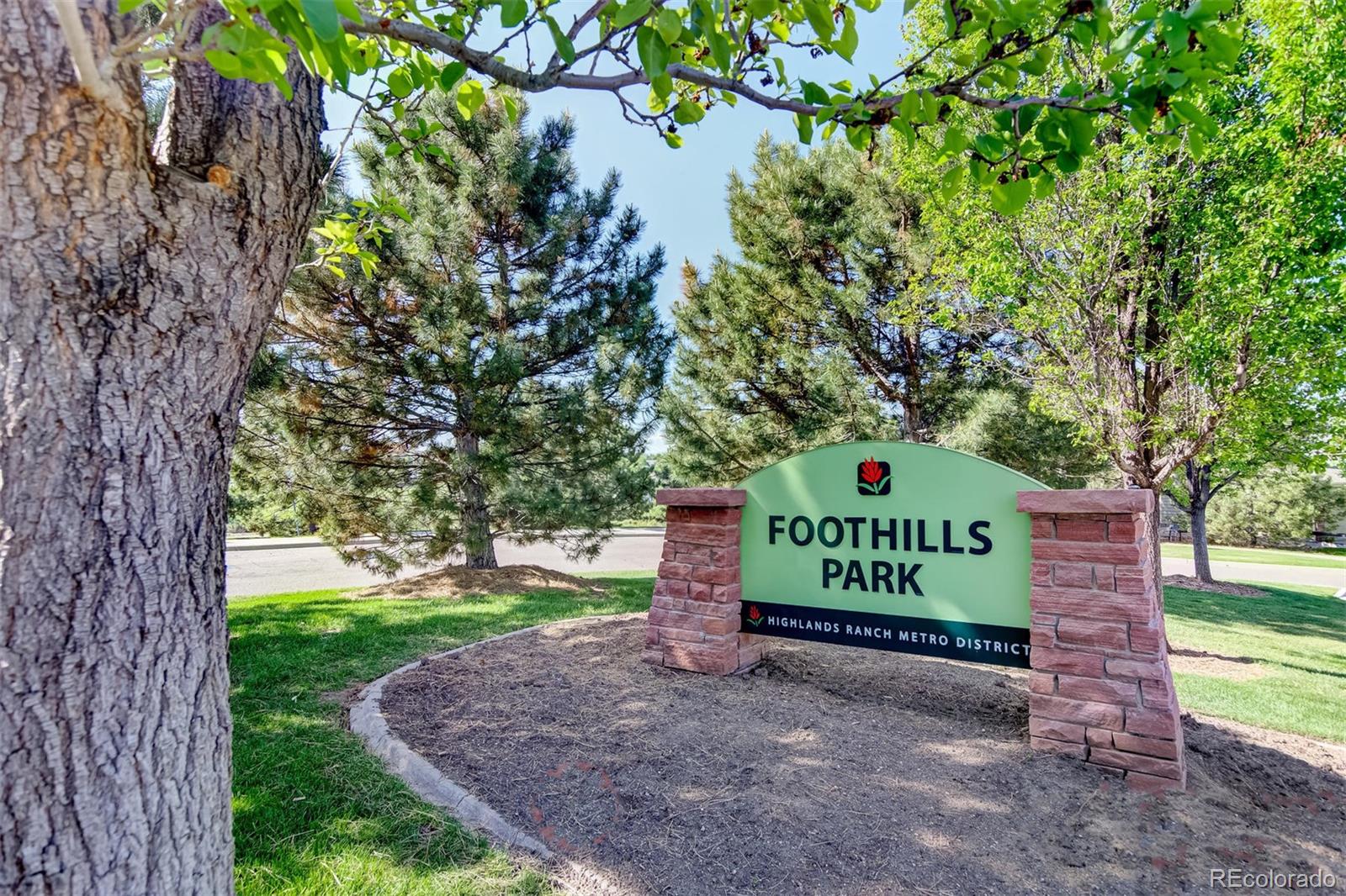 1051 Riddlewood Road Highlands Ranch, CO 80129 - Photo 3 of 37
