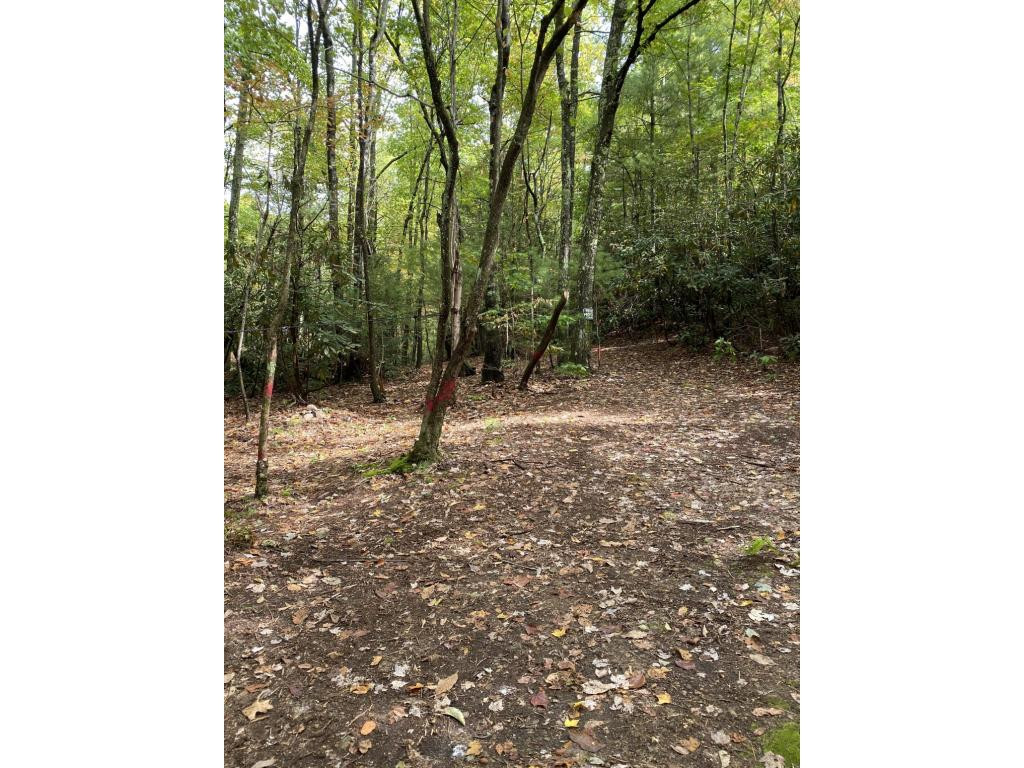 Tbd Tbd Log Cabin Road Elizabethton, TN 37643 - Photo 1 of 5 Photo 1