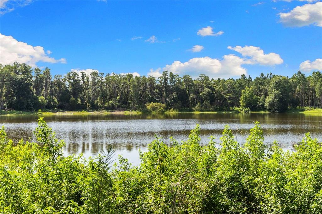 18117 Boy Scout Road Odessa, FL 33556 - Photo 9 of 21 Gallery Image 9