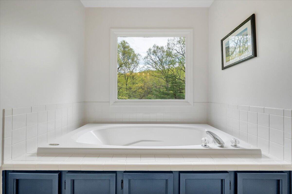 245 Timber Trail Lane Hardy, VA 24101 - Photo 24 of 38 a bathroom with a bathtub and a sink