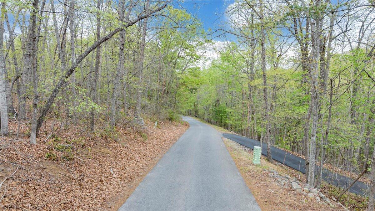 245 Timber Trail Lane Hardy, VA 24101 - Photo 38 of 38 a view of a pathway both side of a road with large trees