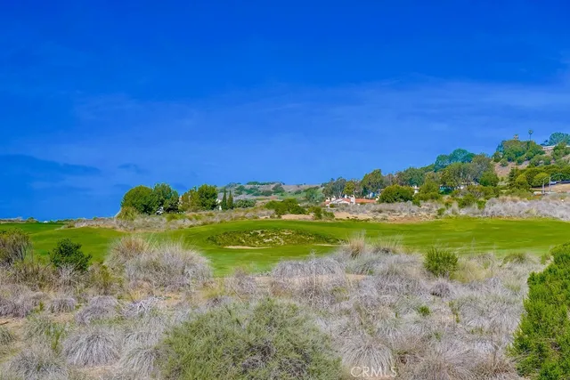 a view of a grassy field with an trees