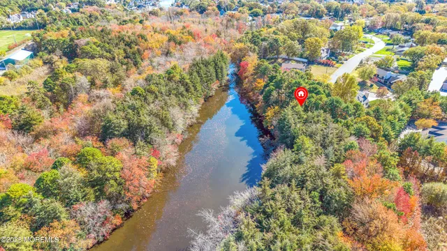 a picture of flowers