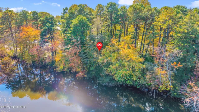 a view of a lake from a yard