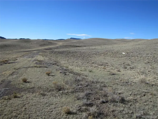 $9,900 | 4523 Black Beaver Road, Hartsel, CO 80449