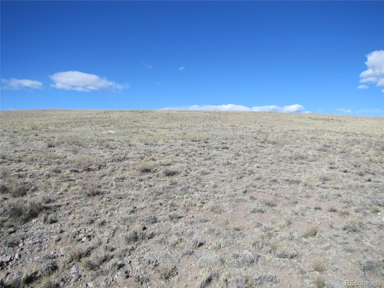 4523 Black Beaver Road Hartsel, CO 80449 - Photo 5 of 13