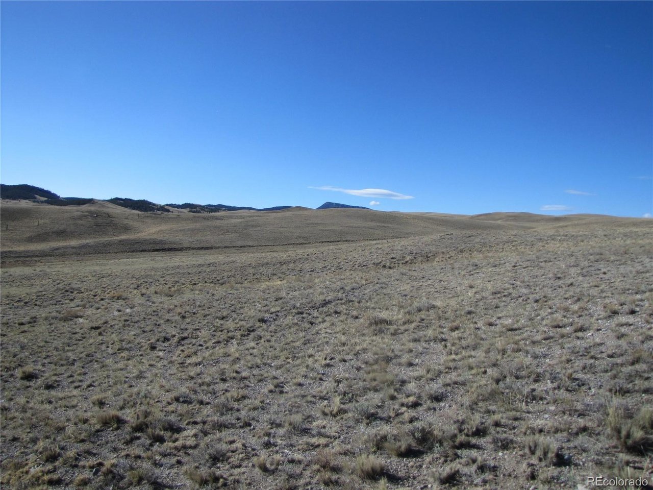 4523 Black Beaver Road Hartsel, CO 80449 - Photo 6 of 13