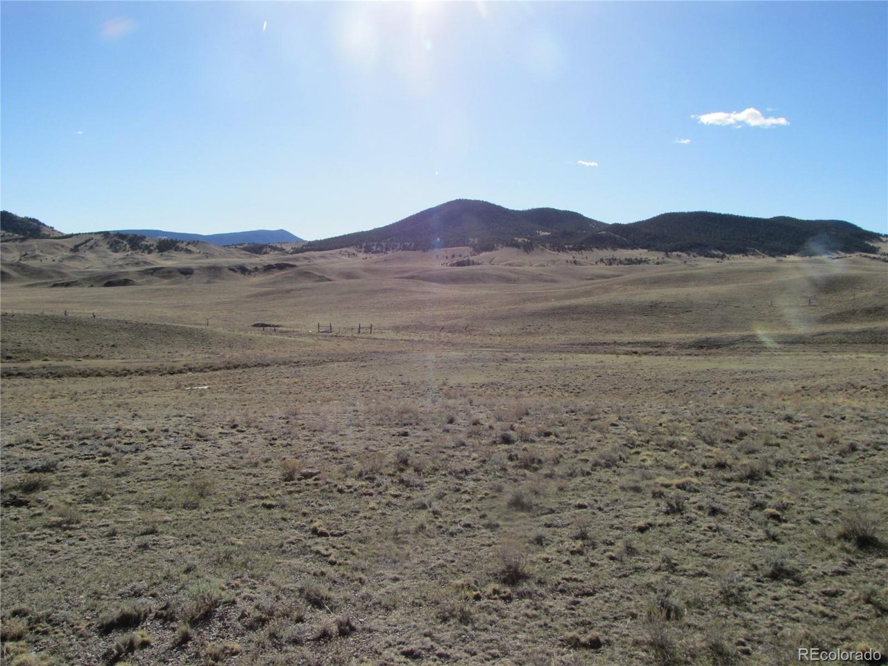 4523 Black Beaver Road Hartsel, CO 80449 - Photo 9 of 13