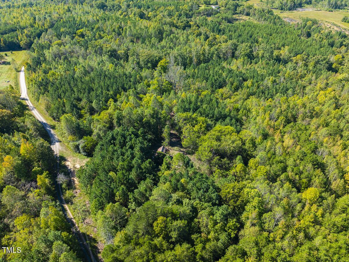 Lot-7-00 Wilson Road Providence, NC 27315 - Photo 26 of 41 Caswell Co. NC 10.03-Backwoods-Lot 7-26