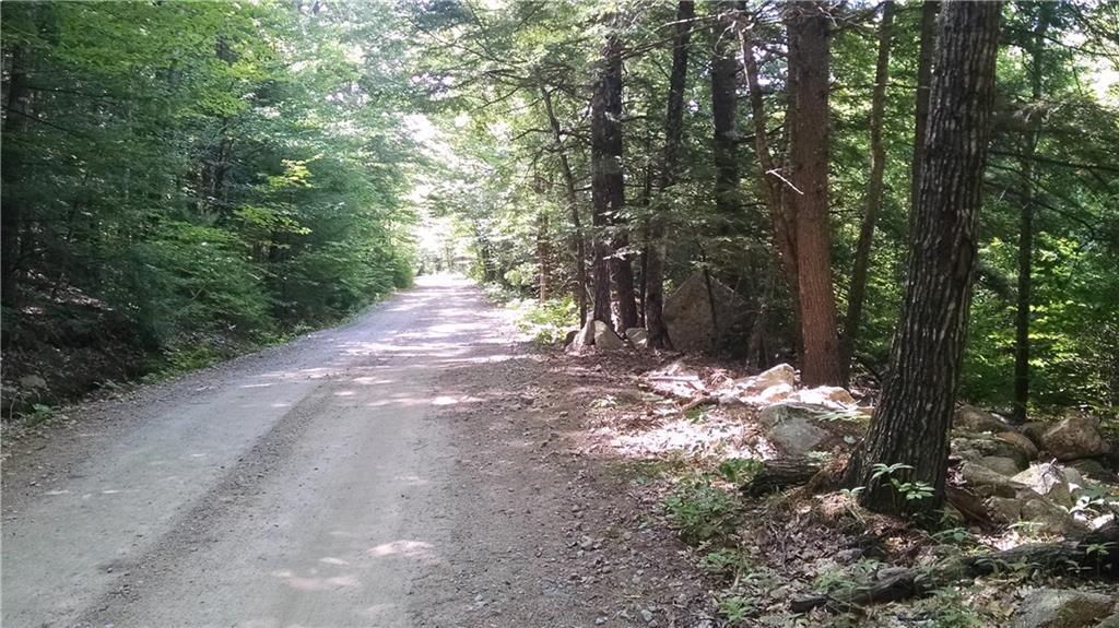 0 South Barbour Road Bethel, ME 04217 - Photo 2 of 5 Photo