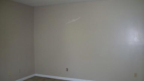 395 Revilo Road Leoma, TN 38468 - Photo 4 of 7
