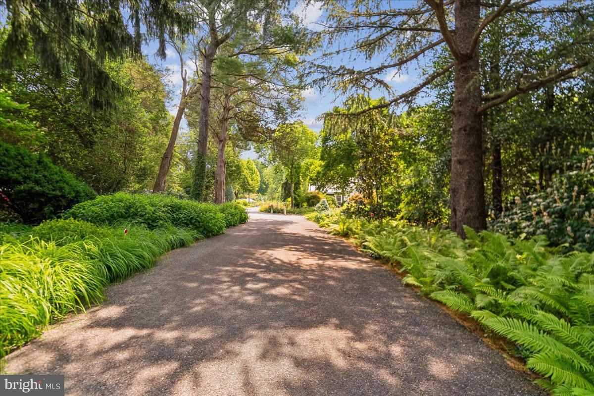 Old Mitchellville Road Bowie, MD 20716 - Photo 15 of 102 Entry driveway