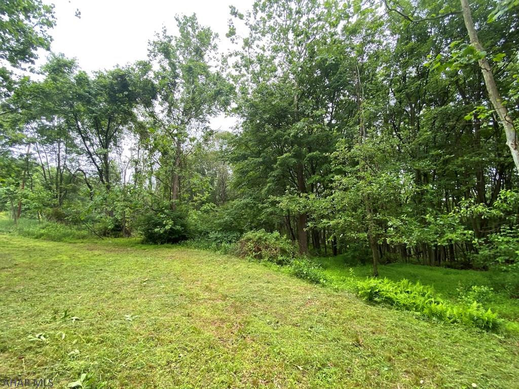 Off Cherry Run Road Bedford, PA 15522 - Photo 8 of 13 Gallery Image 8