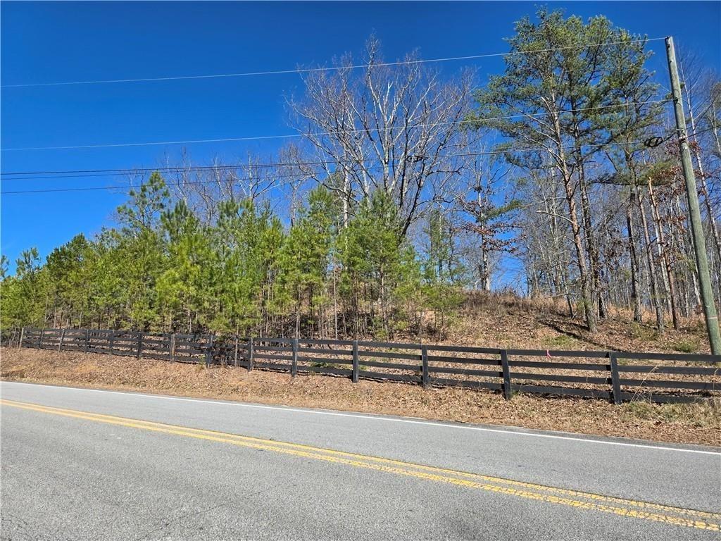 0 Brushy Mountain Road Rockmart, GA 30153 - Photo 4 of 10 a view of a garden