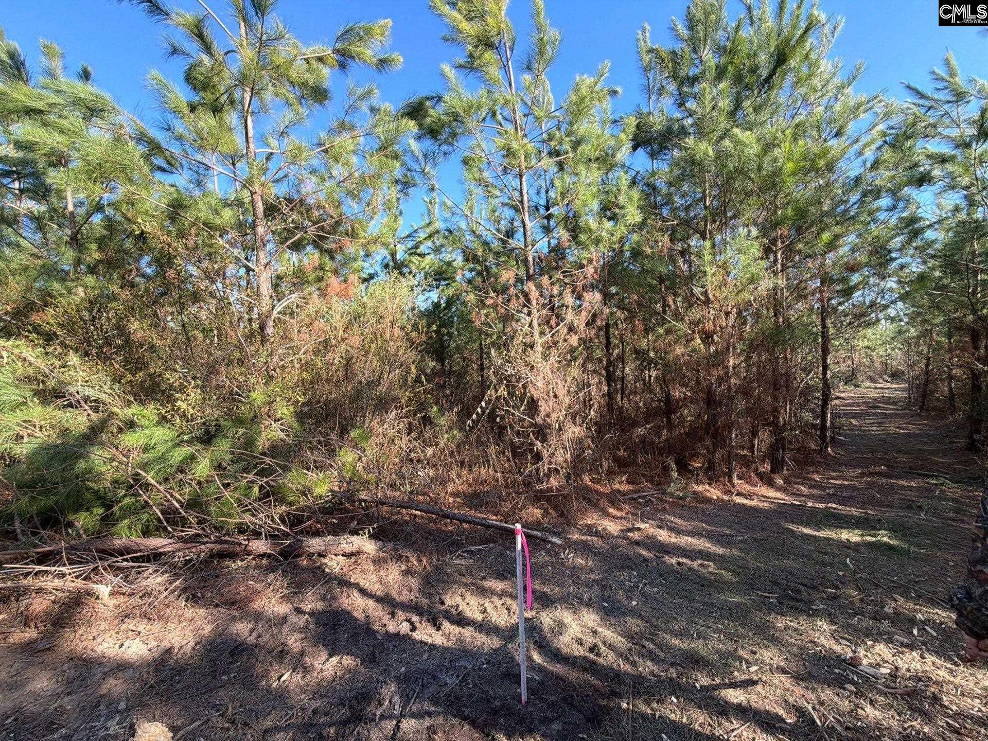 6 Brunson Teal Road, Unit BFF II 6 Patrick, SC 29584 - Photo 6 of 19