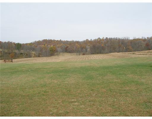 189 McCullough Road Derry, PA 15627 - Photo 5 of 13 Yard/Garden.