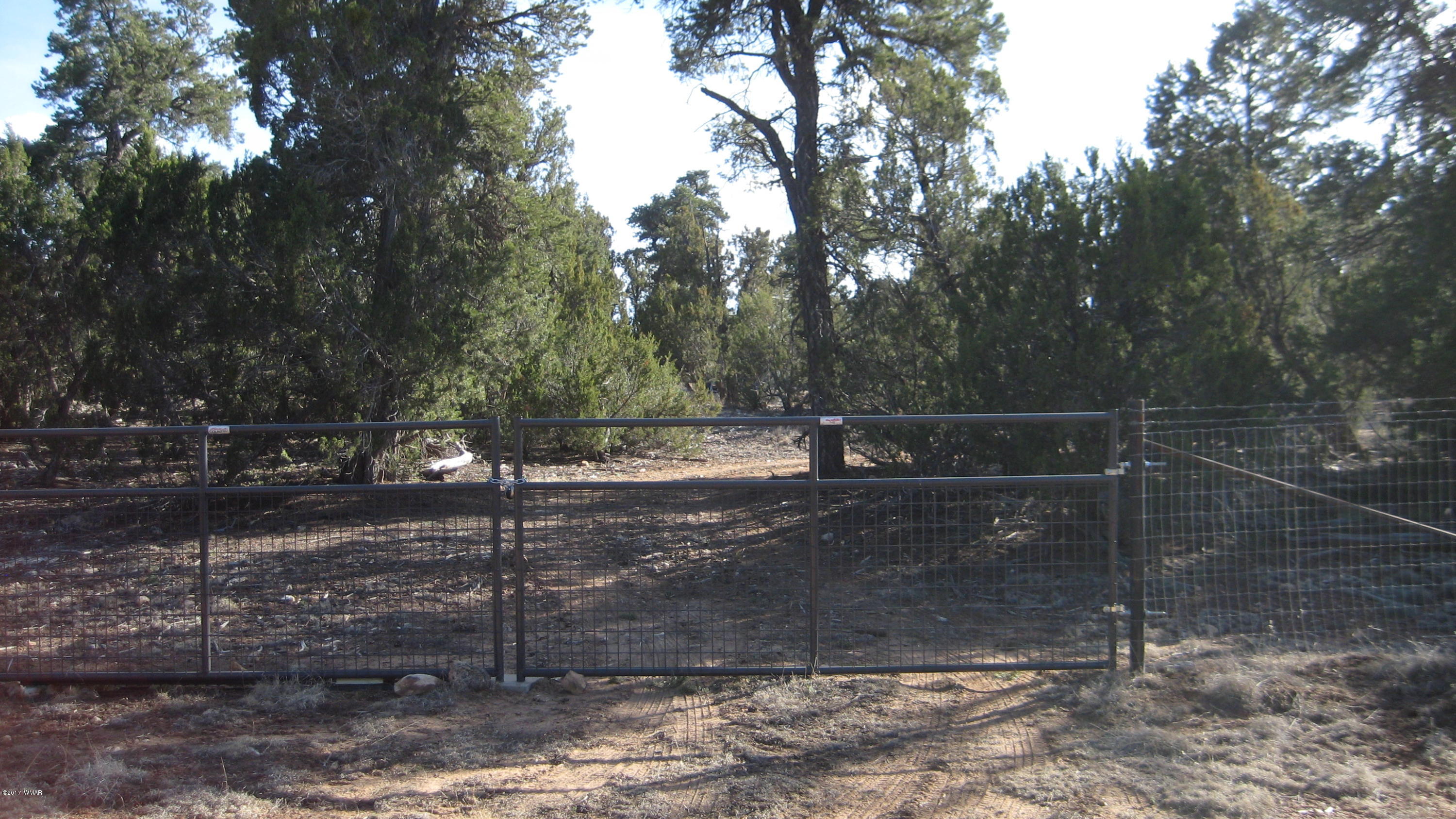 3249 Aspen Road Overgaard, AZ 85933 - Photo 12 of 13