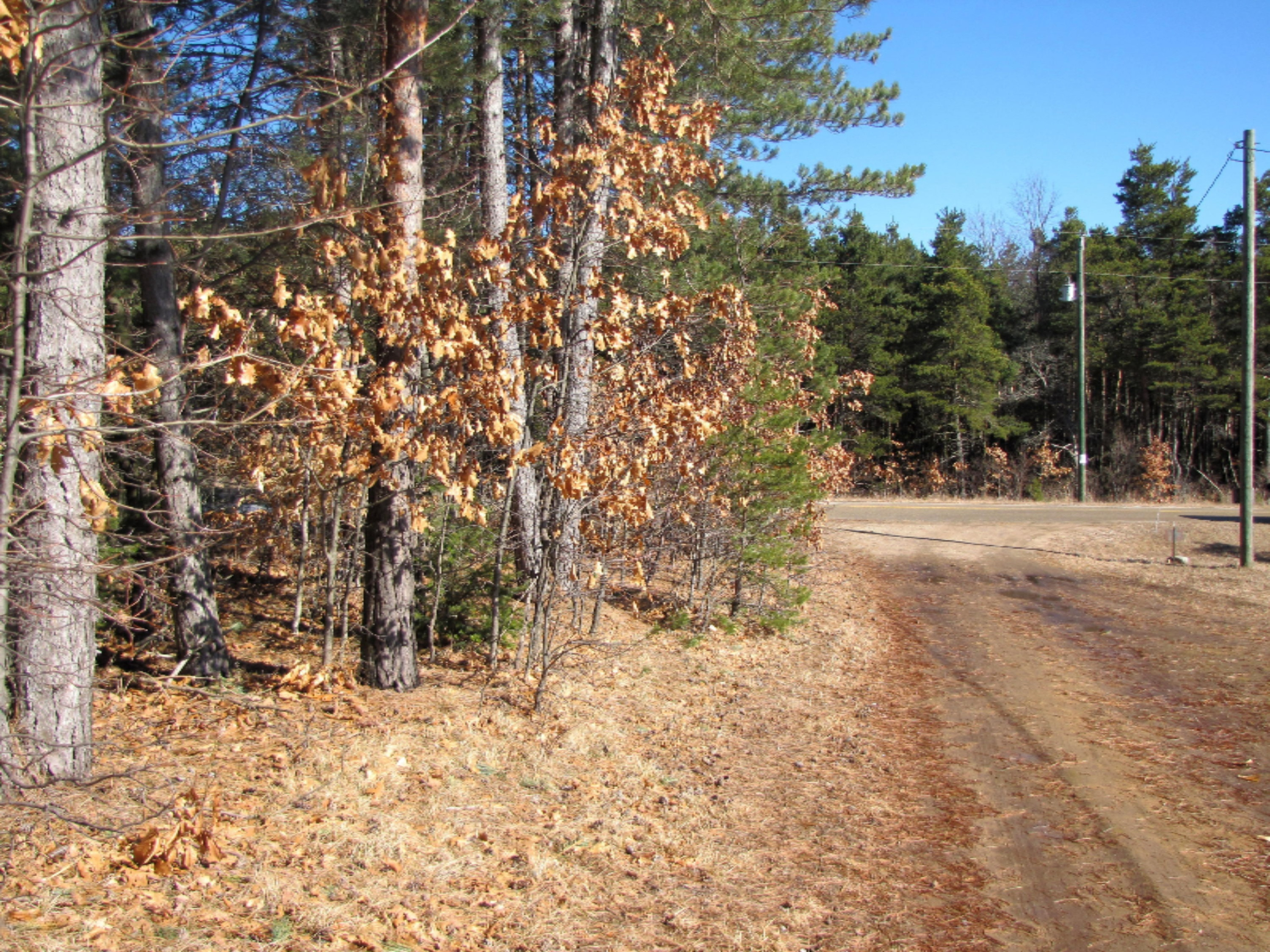 6083 Morris Lake Road Mears, MI 49436 - Photo 4 of 61 left of driveway