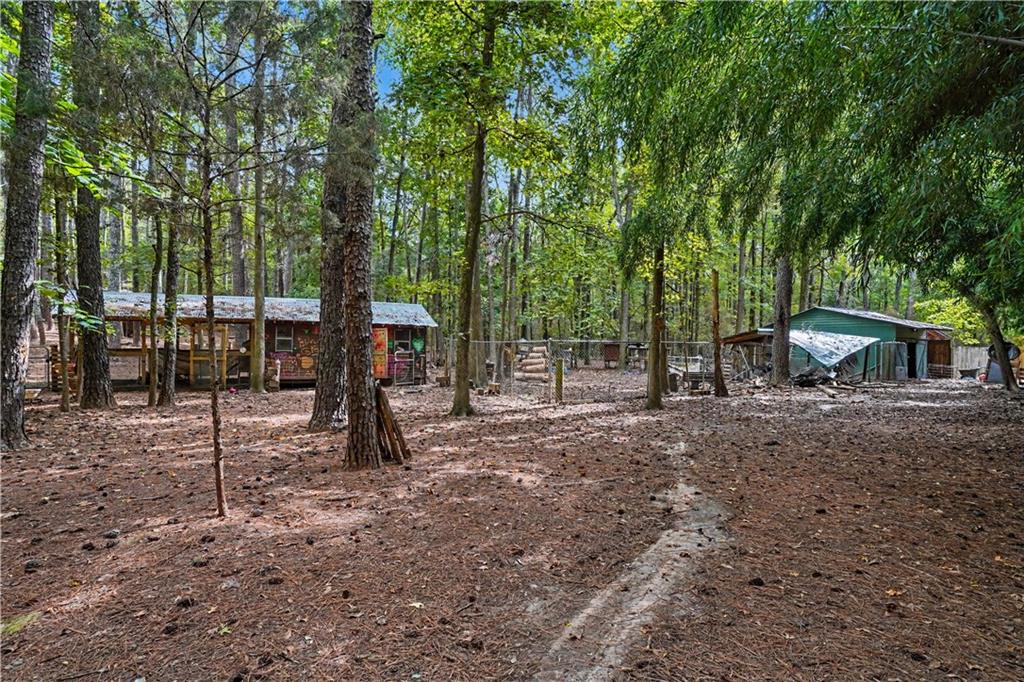 1290 Moreland Road Williamson, GA 30292 - Photo 75 of 86 Gallery Image 75