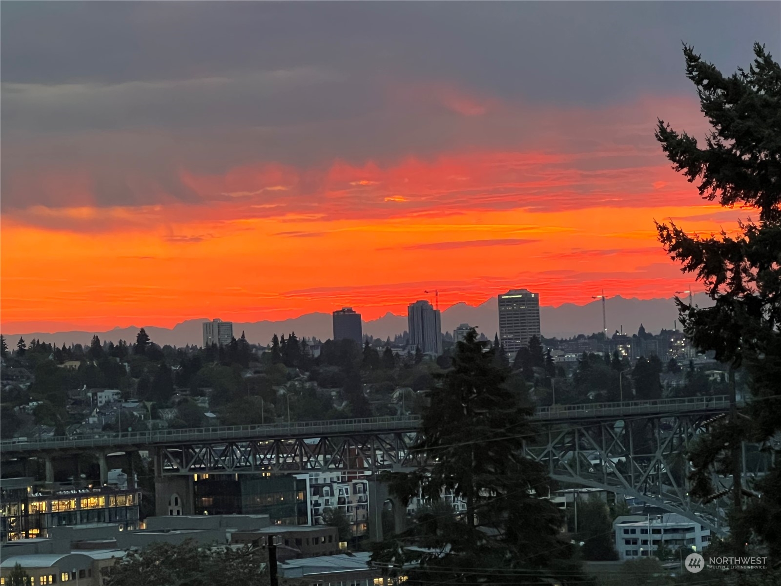 20 Armour Street Seattle, WA 98109 - Photo 33 of 34 a view of city and mountain