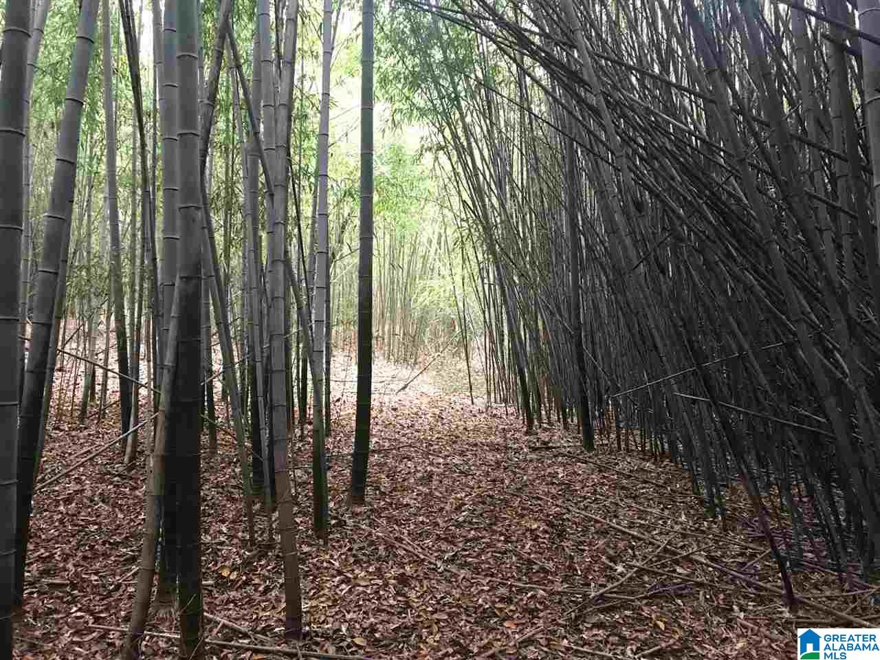 3415 Logan Martin Dam Road, Unit 48 / ACRES Vincent, AL 35178 - Photo 12 of 32