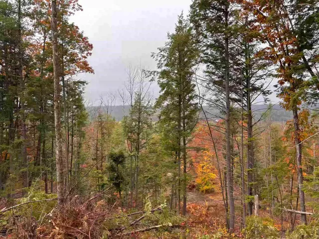 $159,000 | Map3-lot9-3 Scotland Road, Winchester, NH 03470