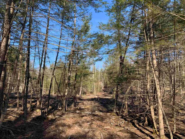 $159,000 | Map3-lot9-3 Scotland Road, Winchester, NH 03470