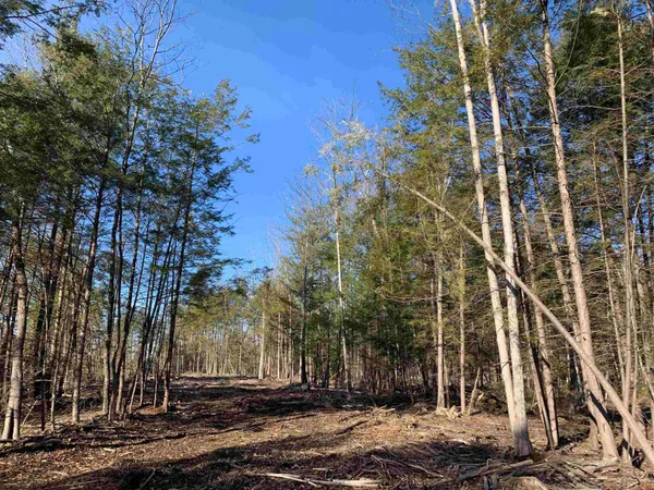 $159,000 | Map3-lot9-3 Scotland Road, Winchester, NH 03470