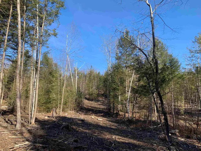 $159,000 | Map3-lot9-3 Scotland Road, Winchester, NH 03470