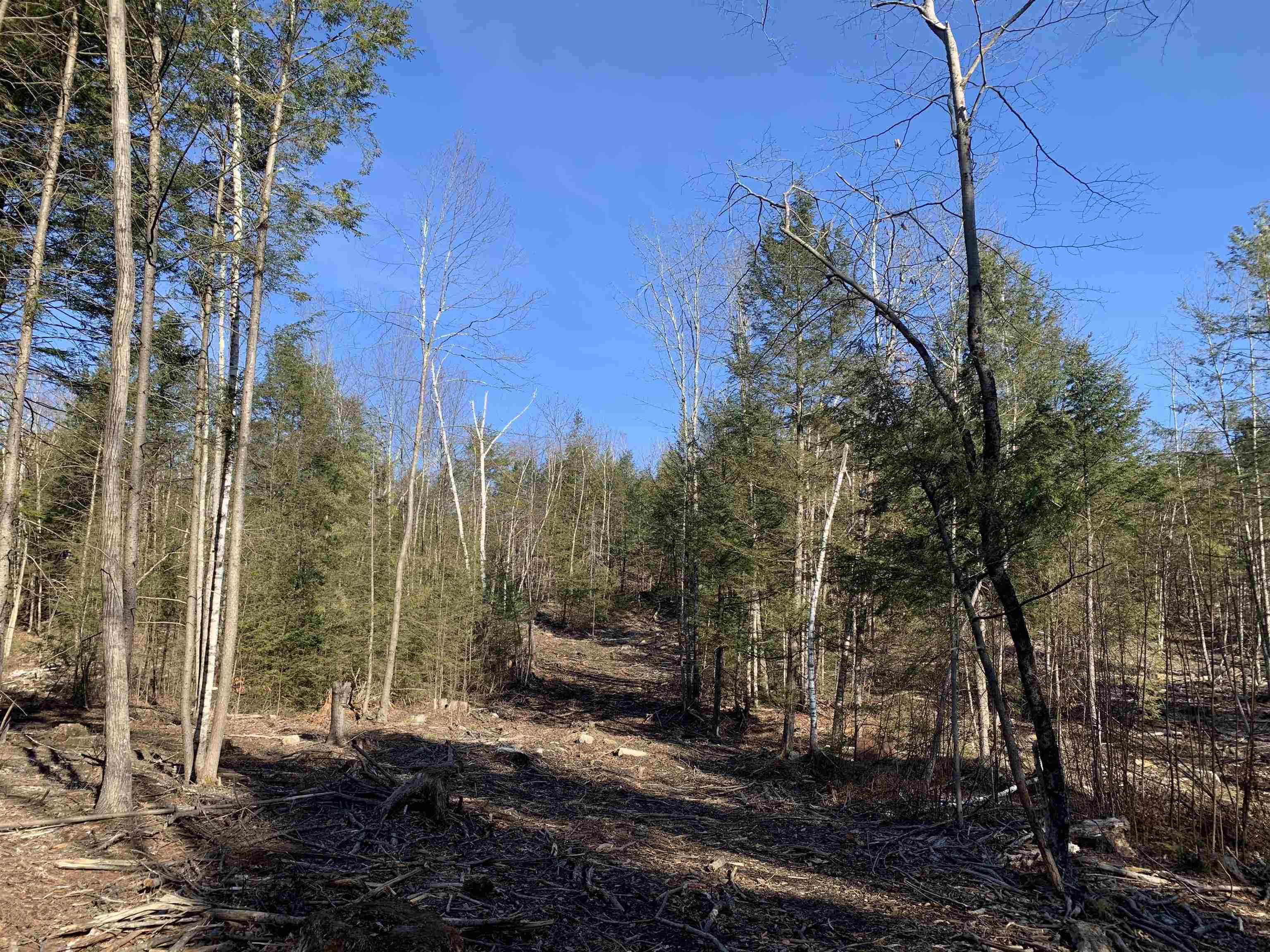 Map3-lot9-3 Scotland Road Winchester, NH 03470 - Photo 20 of 23