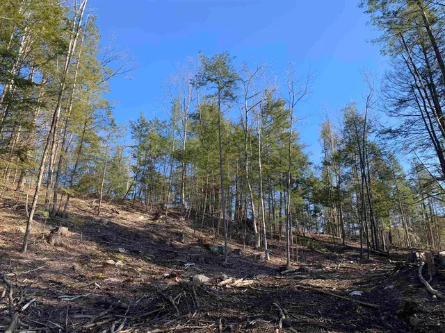 $159,000 | Map3-lot9-3 Scotland Road, Winchester, NH 03470