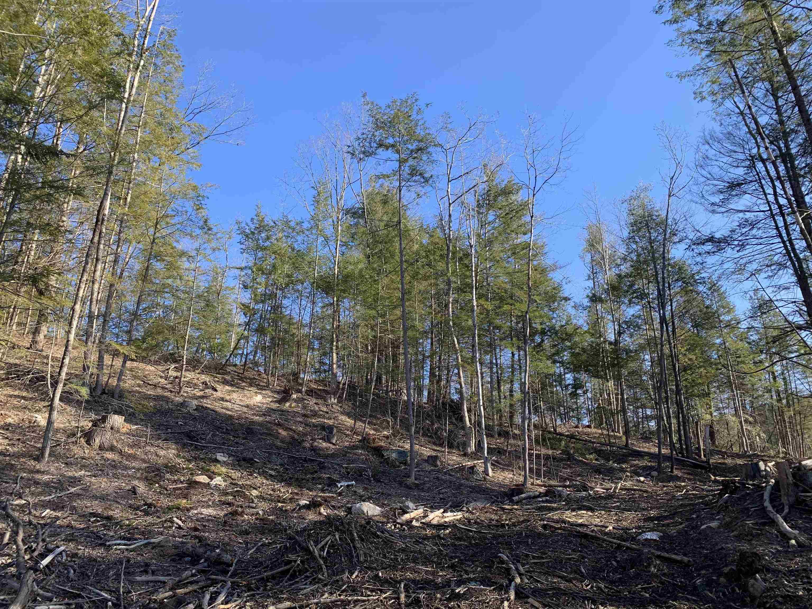 Map3-lot9-3 Scotland Road Winchester, NH 03470 - Photo 22 of 23